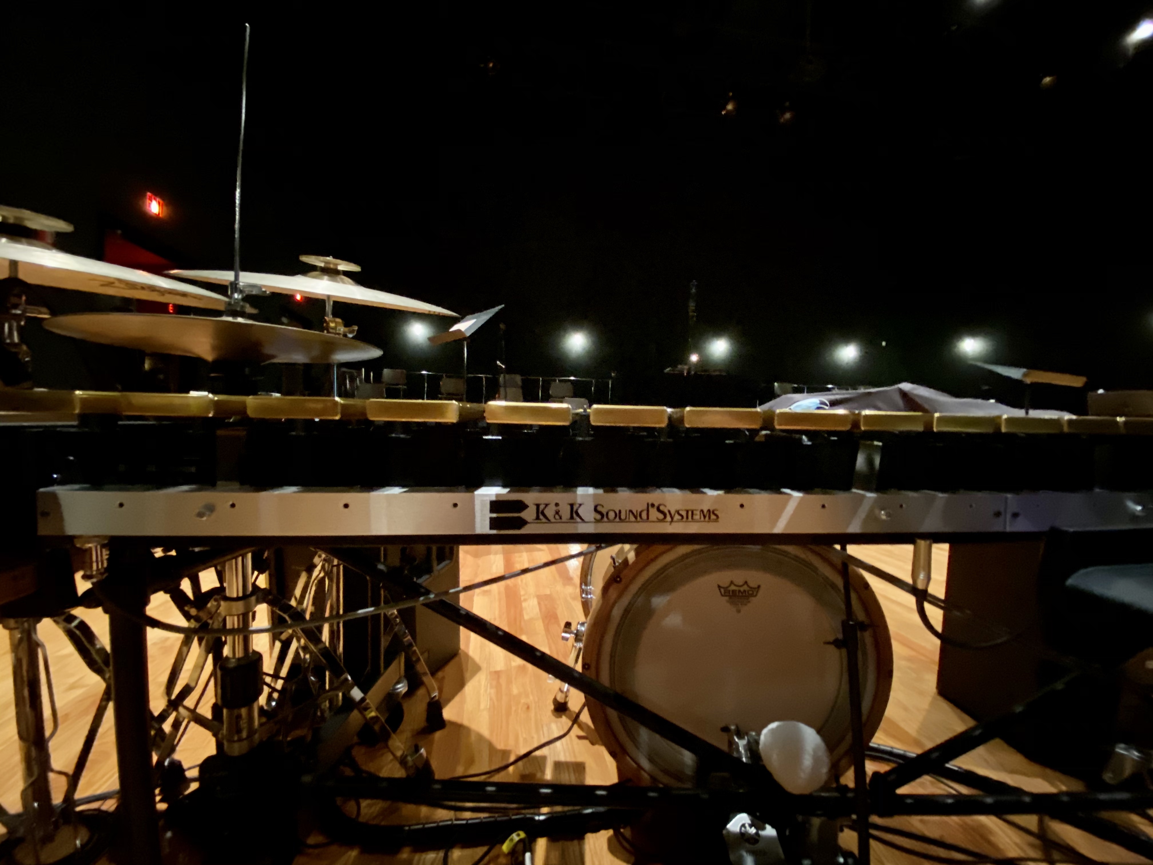 vibra-kit pickups.jpg
